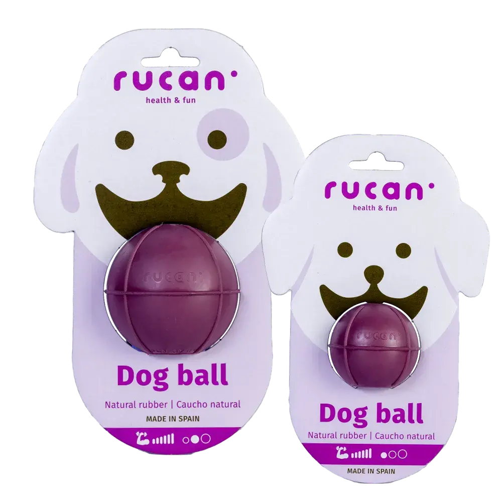DOG-BALL-LILA