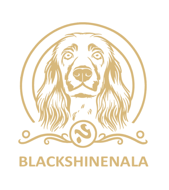 Logo Blackshinenala-Dorado