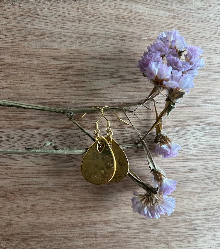 Pendientes Bagoa